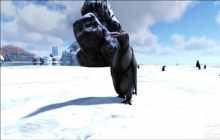 ������������ֻ����л��ۺ�����ô���� ������������л��ۺ�����������