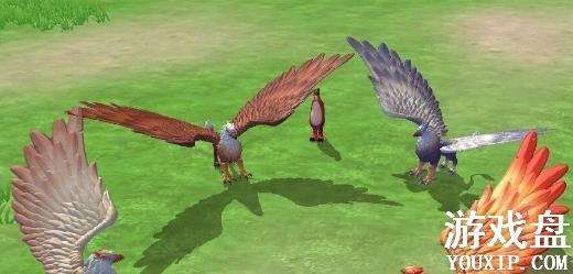 ������ħ��ʨ��������ô�� ʨ�ճ�ʲô��[��ͼ]ͼƬ1