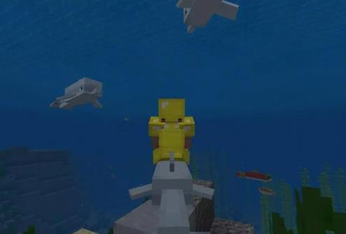 �ҵ���������������ôŪ��ѱ��������Ʒ����[��ͼ]