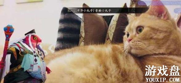 ����ʦ�����ٻ����ƽ�� �����ٻ�������������ٻ����[��ͼ]ͼƬ3