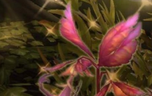 ħ������8.0ê�ݲɼ������� ħ������8.0ê�ݲɼ���λ�÷ֲ�����