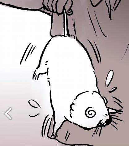 �������ȥ������ �������ȥ��ô����[��ͼ]ͼƬ2