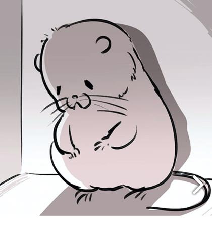 �������ȥ������ �������ȥ��ô����[��ͼ]