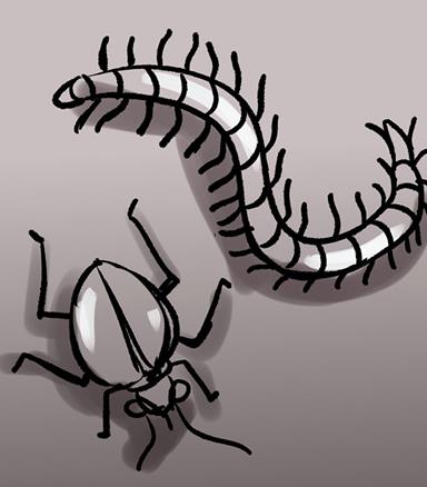 �������ȥ���� �������ȥ�淨���ɽ���[��ͼ]ͼƬ2