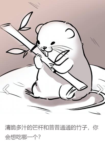 �������ȥ���� �������ȥ�淨���ɽ���[��ͼ]ͼƬ3