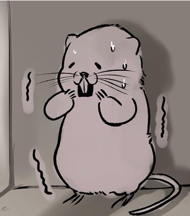 �������ȥ���� �������ȥ�淨���ɽ���[��ͼ]