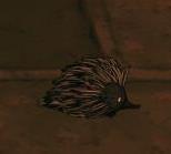 ���Ĺ�ķ���ع���ͼ����ȫ ȫ����ͼ�������Ե������[��ͼ]ͼƬ6