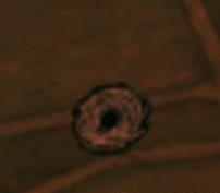 ���Ĺ�ķ���ع���ͼ����ȫ ȫ����ͼ�������Ե������[��ͼ]ͼƬ7