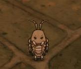 ���Ĺ�ķ���ع���ͼ����ȫ ȫ����ͼ�������Ե������[��ͼ]ͼƬ9