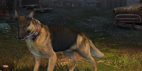 ����֮��ѡ���ĸ��ã���ѡ���Ƽ�����[��ͼ]