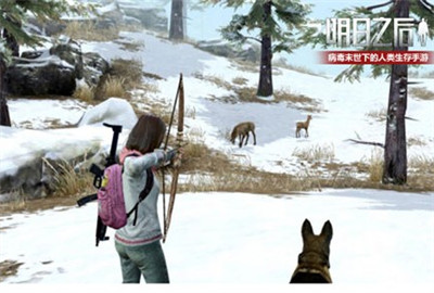 ����֮������ɭ�ֶ������� ����ɭ�����ﶯ���[��ͼ]ͼƬ2