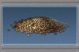 ����֮��������ô��� ����֮�����ѵĻ�ȡ��ʽ[��ͼ]ͼƬ2