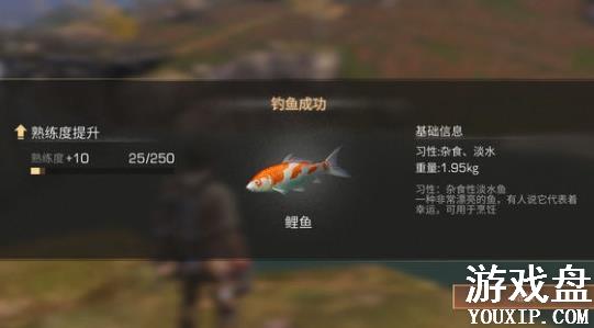 ����֮�������ֹ��� ���������������������[��ͼ]ͼƬ2