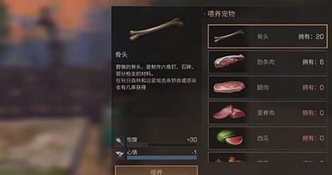 ����֮��ι����ʲô�� ���ﹷι����ʲôЧ����[ͼ]